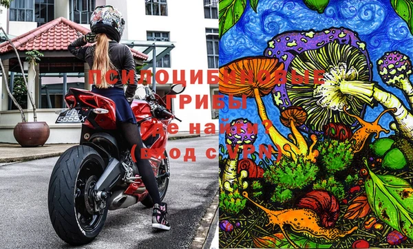 тгк Нестеровская