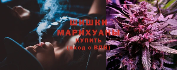 мдпв Липки