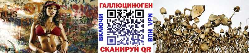 Псилоцибиновые грибы MAGIC MUSHROOMS  это формула  Юрюзань 
